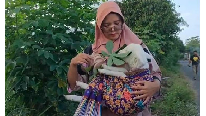 Viral Bidan di Kulonprogo Jalan-Jalan Gendong Anak Kambing, Diperlakukan Mirip Bayi