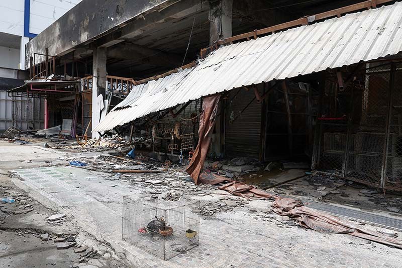 Ribuan Kucing, Anjing dan Hewan Eksotis Mati Terpanggang akibat Kebakaran di Thailand - Bagian 6