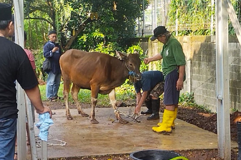 MNC Peduli Distribusikan Daging Kurban untuk Warga Jakarta dan Sekitarnya - Bagian 4