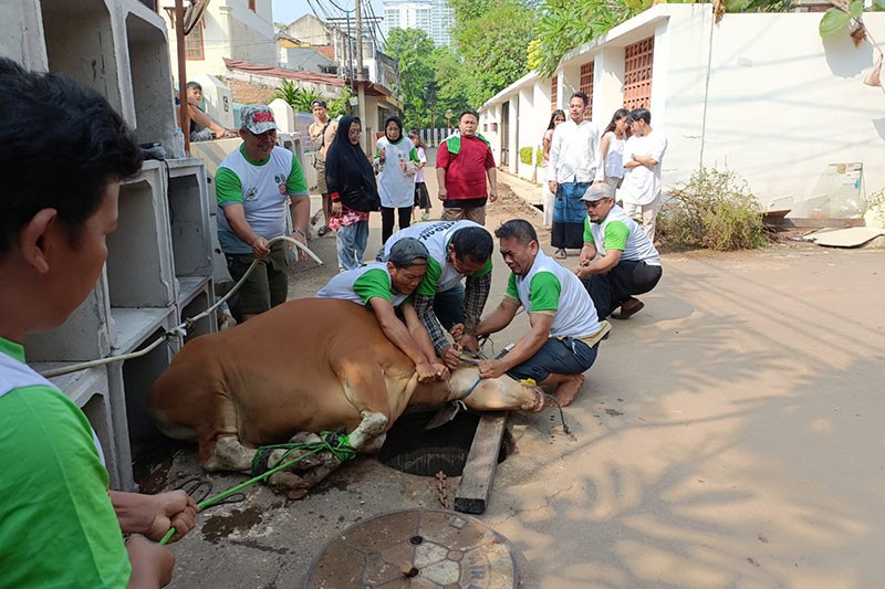 Penyaluran Bantuan Hewan Kurban Idul Adha 1445 H - Bagian 5