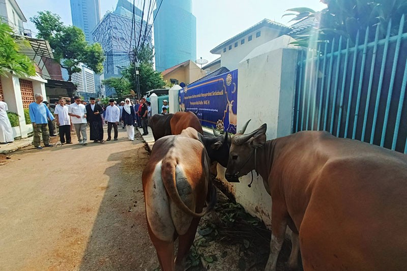 Penyaluran Bantuan Hewan Kurban Idul Adha 1445 H - Bagian 3