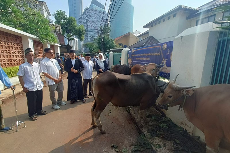 Penyaluran Bantuan Hewan Kurban Idul Adha 1445 H - Bagian 2