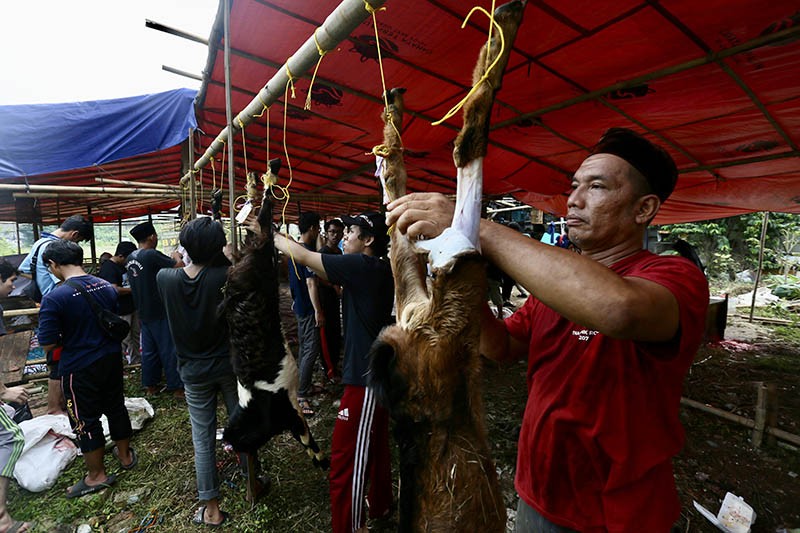 Mahasiwa UIN Syarif Hidayatullah Jakarta Potong Hewan Kurban untuk Masyarakat Ciputat - Bagian 2
