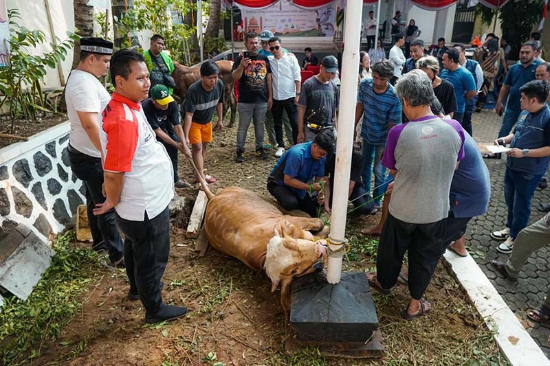 Kadin Kota Jaktim Distribusikan Hewan Kurban ke Masyarakat yang Membutuhkan - Bagian 3
