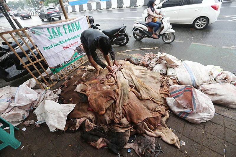 Meraup Cuan dari Kulit Hewan Kurban - Bagian 2