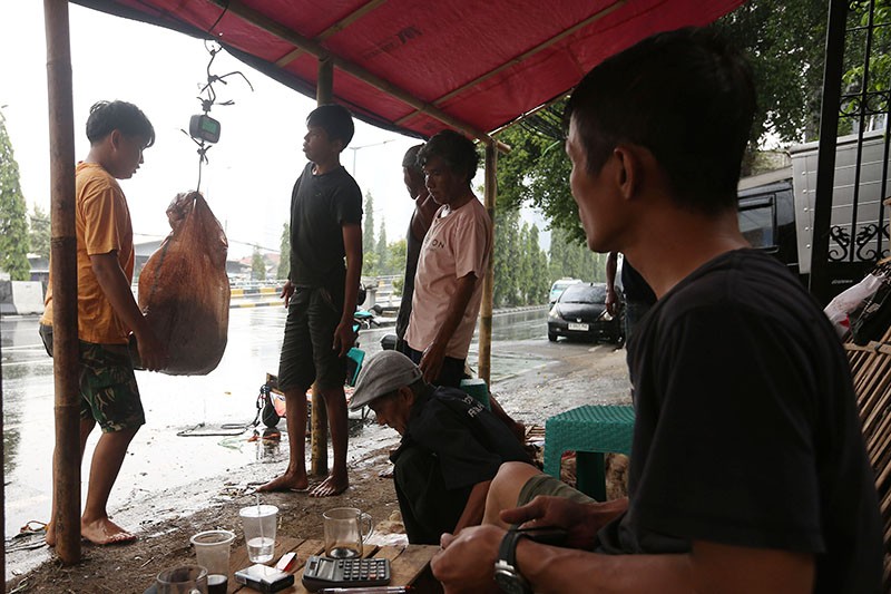Meraup Cuan dari Kulit Hewan Kurban - Bagian 4