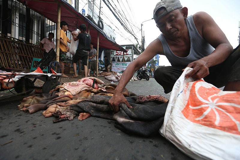Meraup Cuan dari Kulit Hewan Kurban - Bagian 3