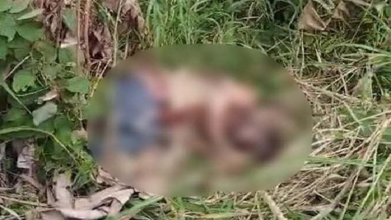title Kasus Mayat Terikat Tali, Korban Dibunuh di Bangka Barat lalu Jasadnya Dibuang ke Sumsel Kasus Mayat Terikat Tali, Korban Dibunuh di Bangka Barat lalu Jasadnya Dibuang ke Sumsel