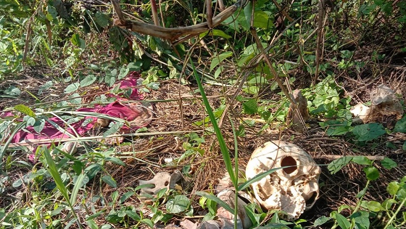 Sukabumi Gempar, Tulang Berulang Manusia Ditemukan di Semak Belakang Perumahan Warga