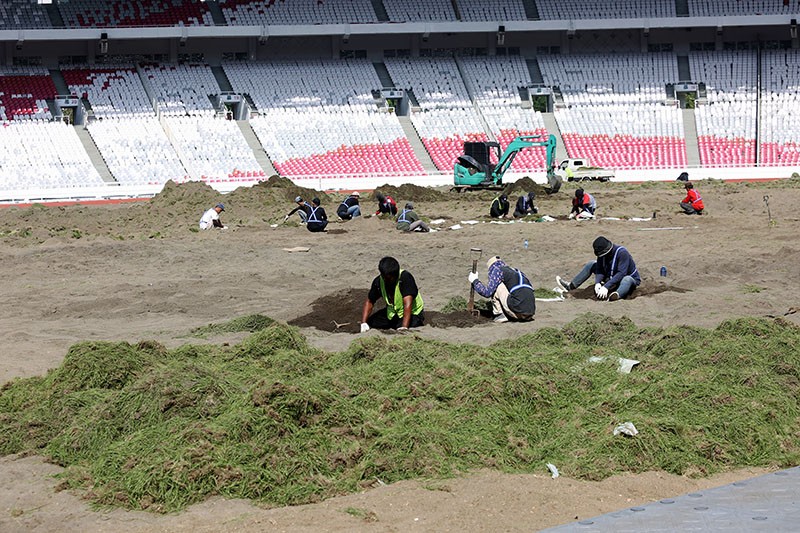 Revitalisasi Rumput Lapangan Stadion GBK - Bagian 5