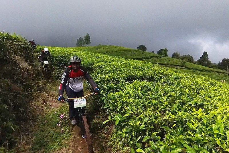 Gowes Menyusuri Perkebunan Teh Ciwidey Lewat Kampung Tertinggi di Jawa Barat - Bagian 6