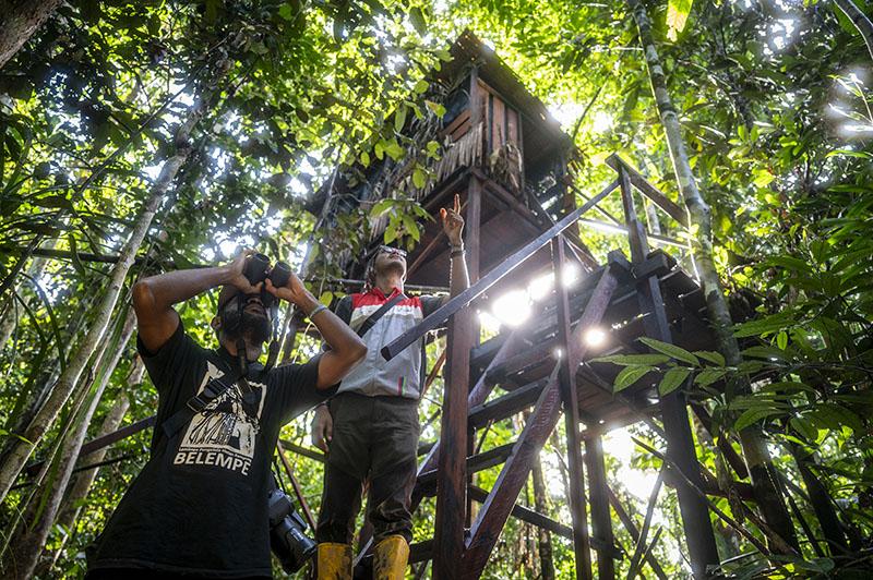 Semangat Eksplorasi Migas Berkelanjutan di Ujung Timur Indonesia - Bagian 3