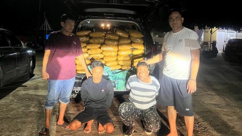Polisi Gagalkan Peredaran 48 Kg Ganja di Sumbar, Tangkap 4 Pelaku