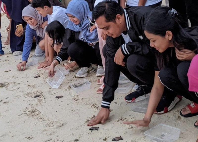 Momen Puluhan Ragam Jenis Anak Penyu Dilepas ke Perairan Karimunjawa - Bagian 2