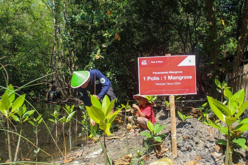 Program Plan & Plant Tanam Tanam 10.000 Pohon Mangrove - Bagian 2