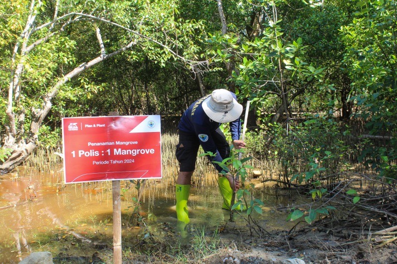 Program Plan & Plant Tanam Tanam 10.000 Pohon Mangrove - Bagian 1