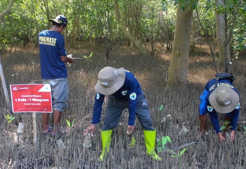 Program Plan & Plant Tanam Tanam 10.000 Pohon Mangrove - Bagian 3