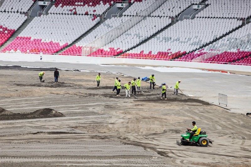 Proses Revitalisasi Rumput Stadion Utama GBK  - Bagian 2
