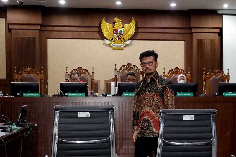 Ekspresi Syahrul Yasin Limpo Divonis 10 Tahun Penjara