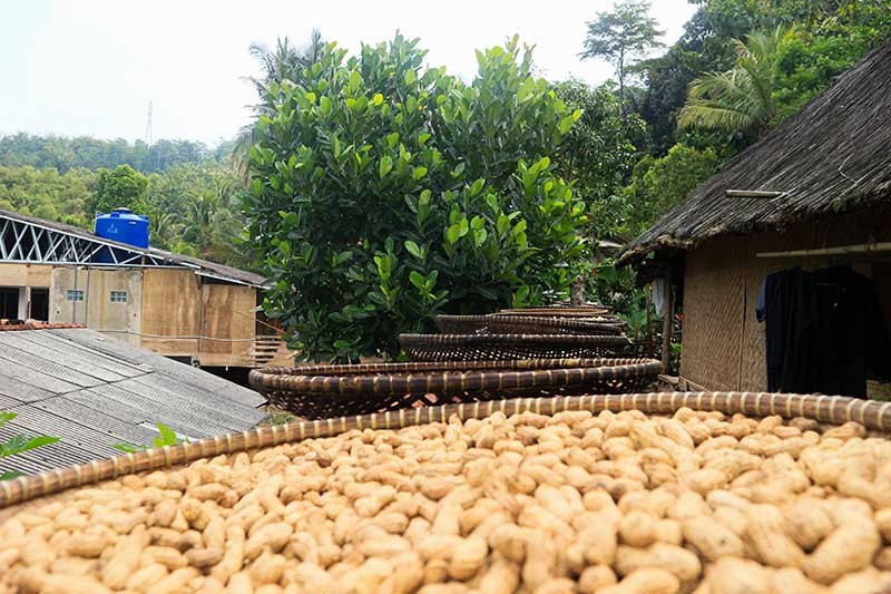 Kekayaan Alam Melimpah di Kampung Dukuh Garut Selatan - Bagian 7