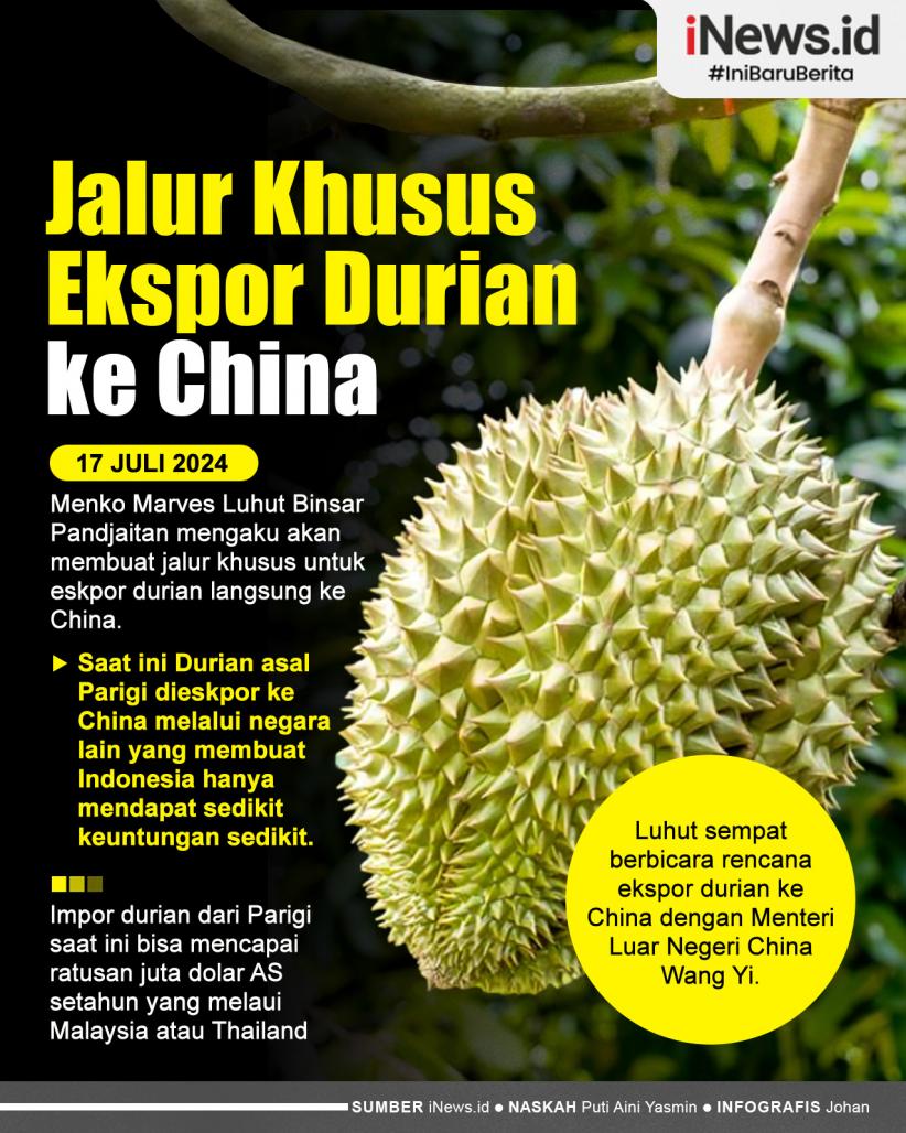 Infografis Luhut Mau Buat Jalur Khusus Ekspor Durian ke China