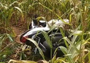Mayat Dalam Karung di Ladang Jagung Gegerkan Warga Lampung Timur