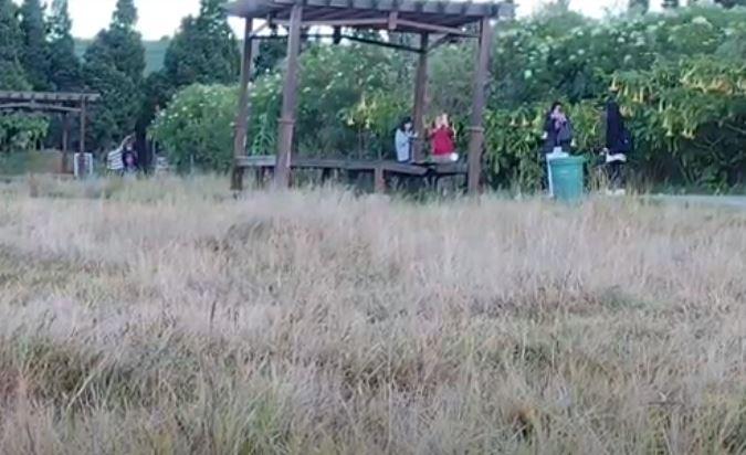 title Embun Beku 3 Hari Berturut-Turut Selimuti Candi Arjuno Dieng, Jadi Daya Tarik Wisatawan Embun Beku 3 Hari Berturut-Turut Selimuti Candi Arjuno Dieng, Jadi Daya Tarik Wisatawan