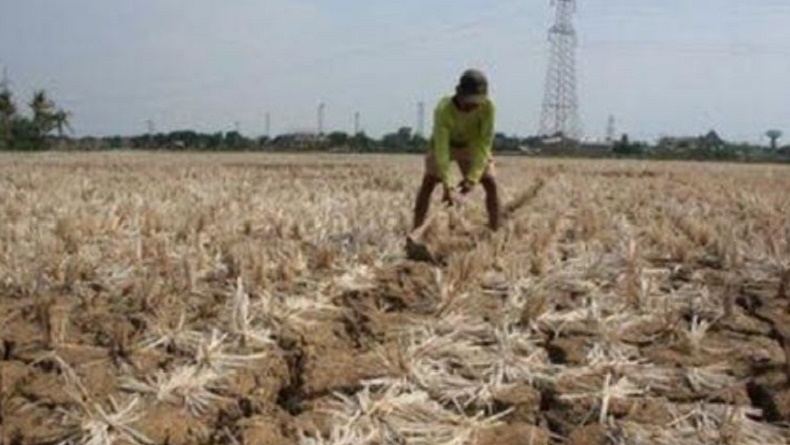 title Jelang Musim Kemarau, Pemprov Jabar Antisipasi Bencana Kekeringan Jelang Musim Kemarau, Pemprov Jabar Antisipasi Bencana Kekeringan