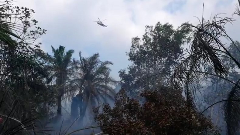 3 Helikopter Dikerahkan Padamkan Kebakaran Hutan dan Lahan Seluas 5 Hektare di Siak