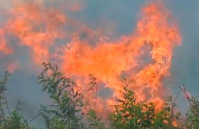 30 Hektare Lahan di Muarojambi Terbakar, Pemadaman Terkendala Air dan Medan Terjal