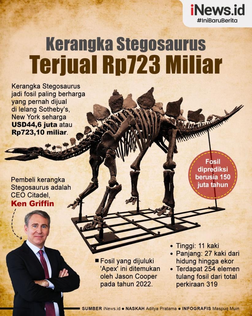 Infografis Kerangka Stegosaurus Terjual dengan Rekor Rp723 Miliar