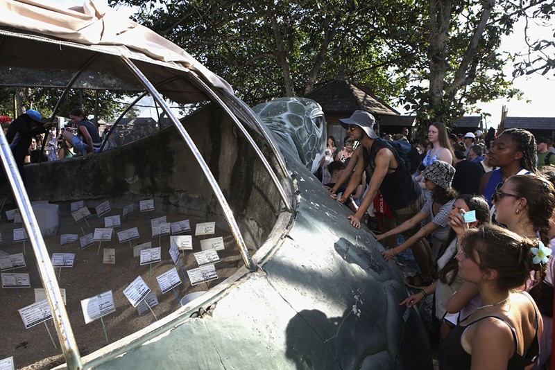 Antusiasme Ratusan Bule Lepas Anak Penyu Lekang di Pantai Kuta Bali - Bagian 2