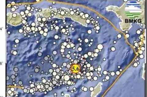 Gempa Terkini M 5,6 Guncang Tanimbar Maluku, Tidak Berpotensi Tsunami