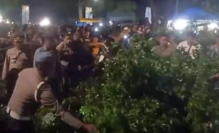 Pohon Beringin Tumbang Timpa Pengunjung Parade Budaya di Banjarnegara, 5 Luka-Luka