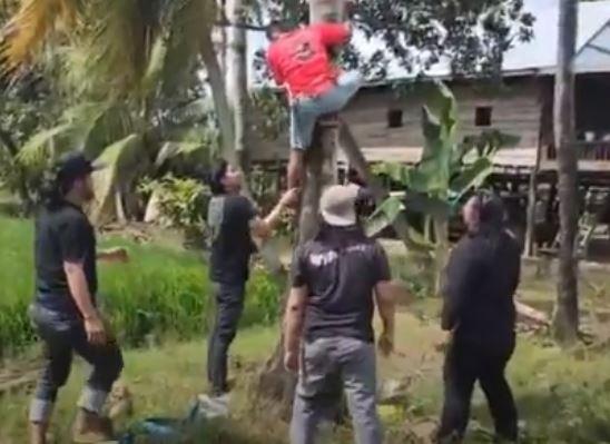 title Hendak Ditangkap Polisi, Pencuri Spesialis HP di Wajo Sembunyi di Pohon Kelapa Hendak Ditangkap Polisi, Pencuri Spesialis HP di Wajo Sembunyi di Pohon Kelapa