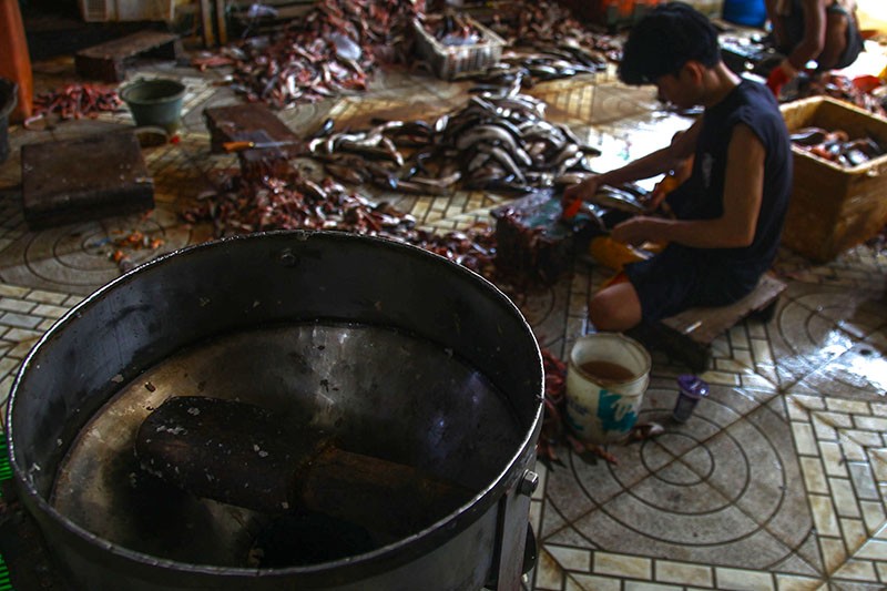 Potret Kampung Penghasil Ikan Gabus Giling di Palembang - Bagian 2