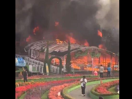 title Kesaksian Warga saat Taman Bunga Celosia Bandungan Terbakar, Diawali Ledakan Kesaksian Warga saat Taman Bunga Celosia Bandungan Terbakar, Diawali Ledakan