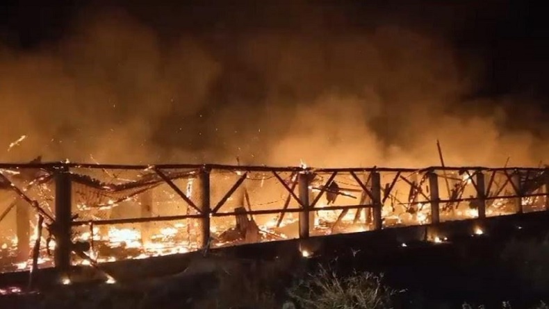 title Kebakaran Kandang Ternak di Cianjur, 8.000 Ekor Ayam Mati Terpanggang Kebakaran Kandang Ternak di Cianjur, 8.000 Ekor Ayam Mati Terpanggang