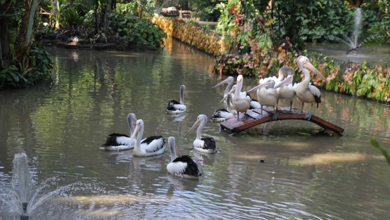 7 Tempat Wisata di Surabaya yang Lagi Hits untuk Liburan Seru dan Berkesan di Kota Pahlawan