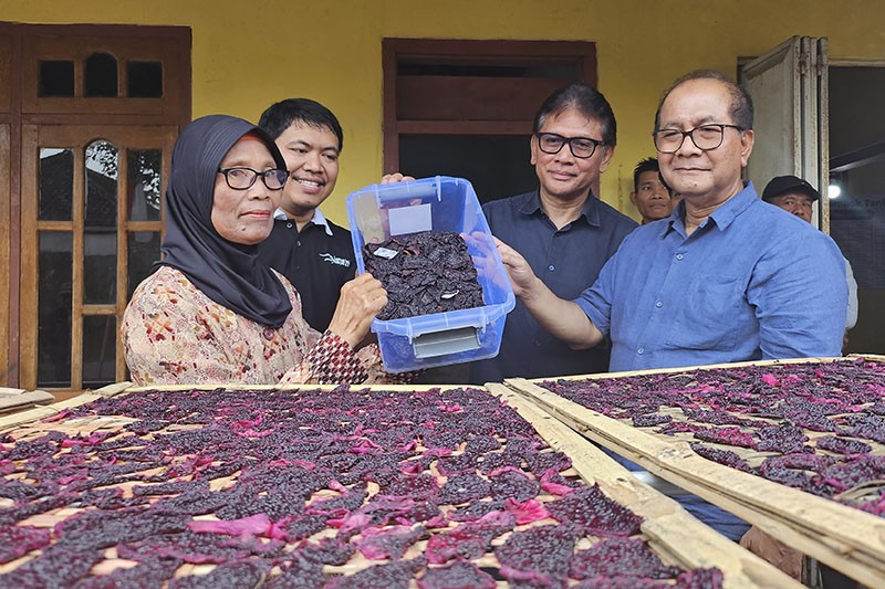 Dorong UMKM Banyuwangi Terus Berinovasi - Bagian 2