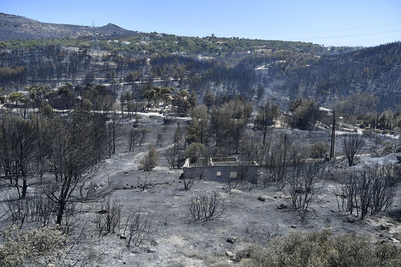 Kebakaran Hutan Menjalar ke Permukiman Hanguskan Rumah dan Kendaraan di Yunani - Bagian 4