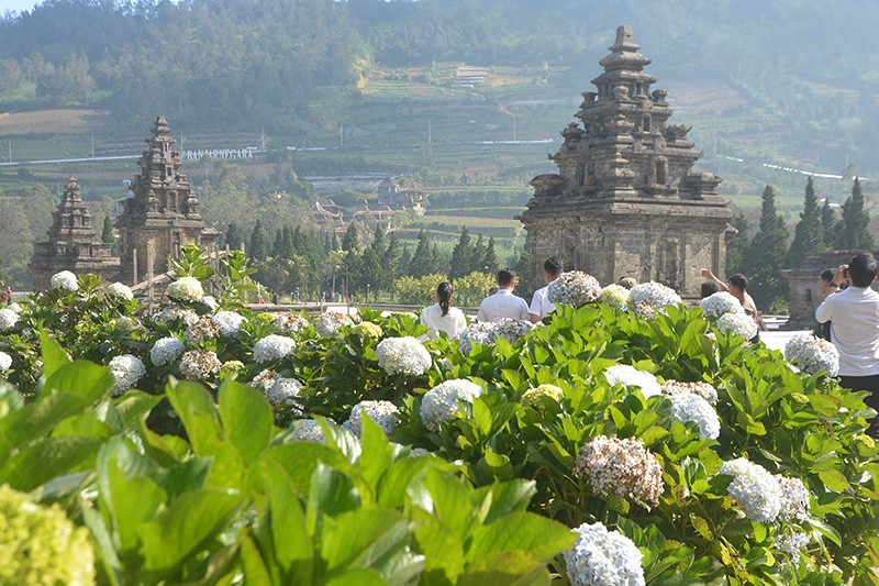 Candi Arjuna Bersolek Menyambut Dieng Culture Festival 2024 - Bagian 4