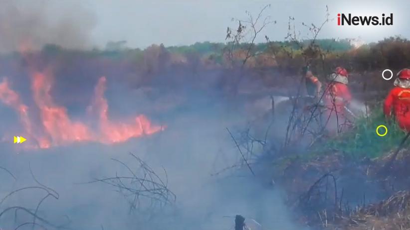 Pemerintah Tetapkan Riau Siaga Darurat Karhutla hingga November 2025