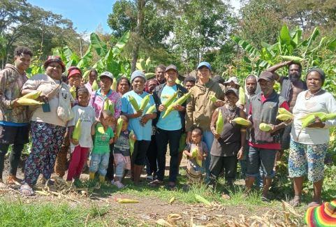 title Warga Jayawijaya Panen Jagung Bantuan KSAD Maruli Simanjuntak Tepat di HUT RI Warga Jayawijaya Panen Jagung Bantuan KSAD Maruli Simanjuntak Tepat di HUT RI