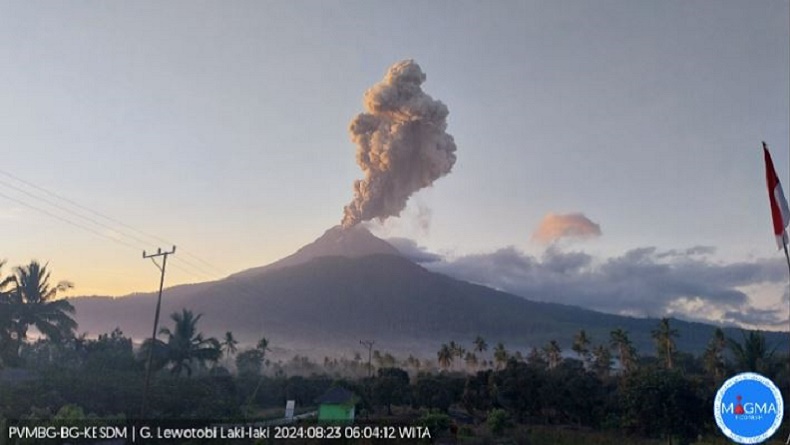 Gunung Lewotobi Laki-Laki Erupsi Hari Ini, Tinggi Letusan Abu Vulkanis Capai 1 Km