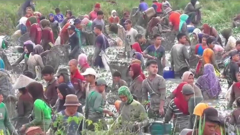 Kemeriahan Tradisi Berkarang di Muarojambi, Ratusan Warga Masuk Danau Berebut Cari Ikan
