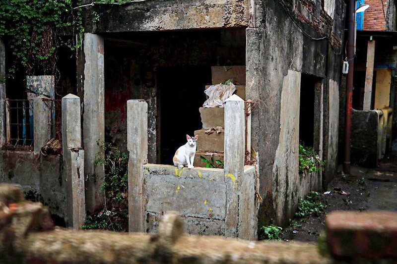 Uji Nyali di Kampung Zombie Cililitan, Ditinggal Para Pemilik karena Sering Banjir - Bagian 3