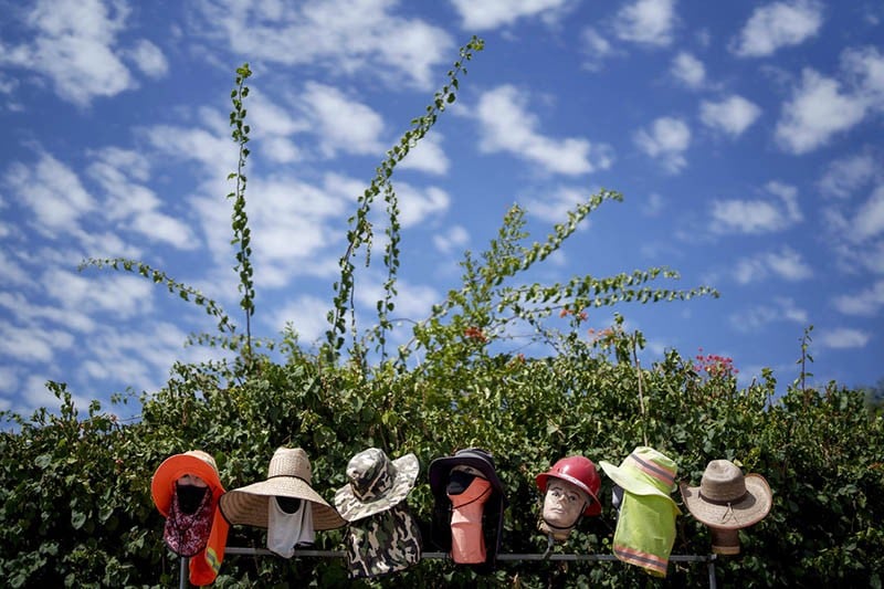 Cuaca Panas Ekstrem di AS, Topi hingga Kolam Renang Tiup Diincar Warga California - Bagian 2