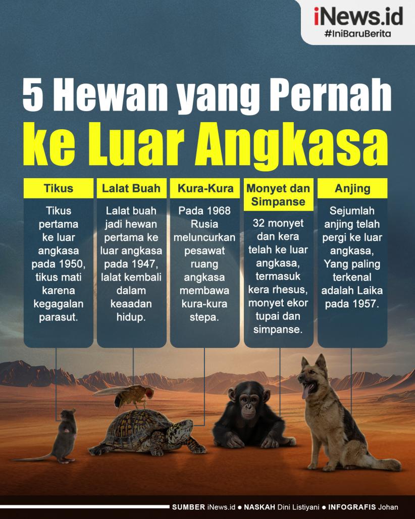 Infografis 5 Hewan yang Pernah ke Luar Angkasa