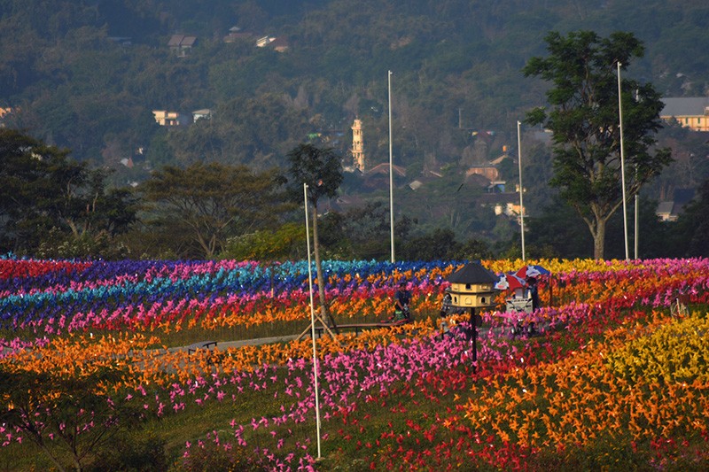 Wisata ala Swiss di Dataran Tinggi Merbabu dan Merapi - Bagian 4